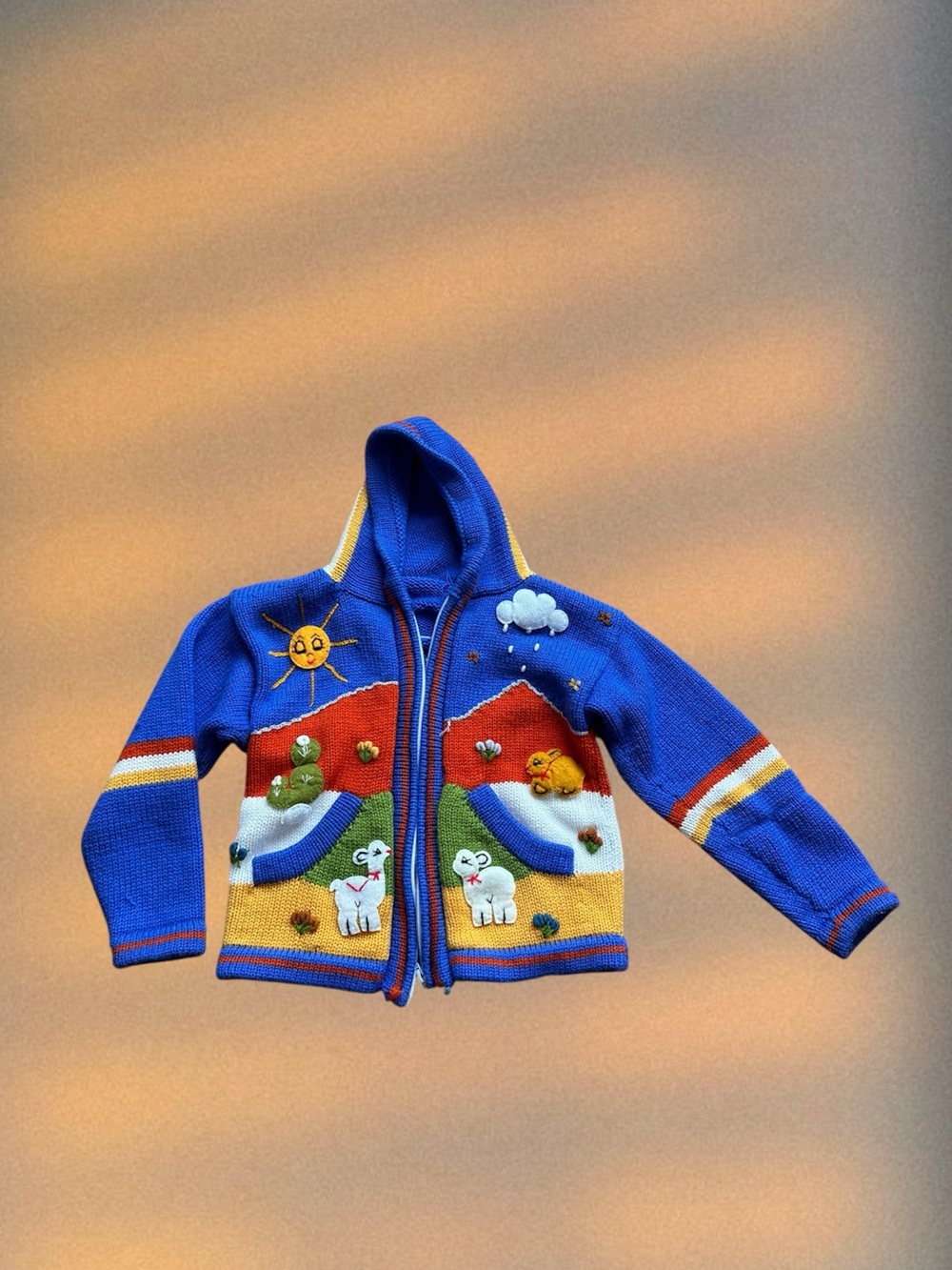 Blue Kids Hooded Zip Sweater with Sunny Farm Appliqués